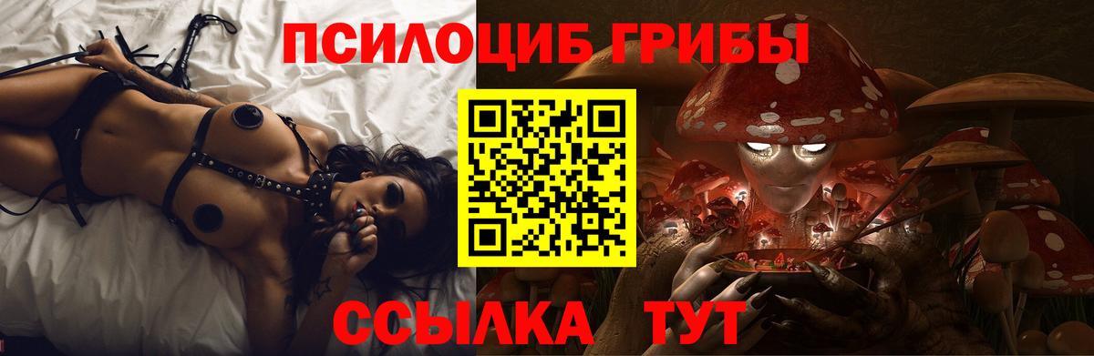 Галлюциногенные грибы Cubensis  закладка  Азов  Вход с VPN 